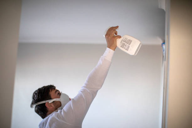 Mold Removal Process in Fort Campbell North, KY