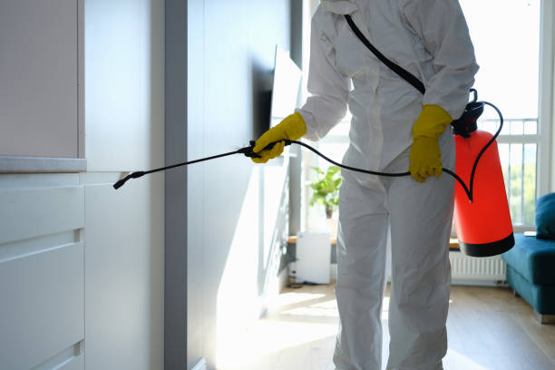 Best Commercial Mold Removal  in Fort Campbell North, KY